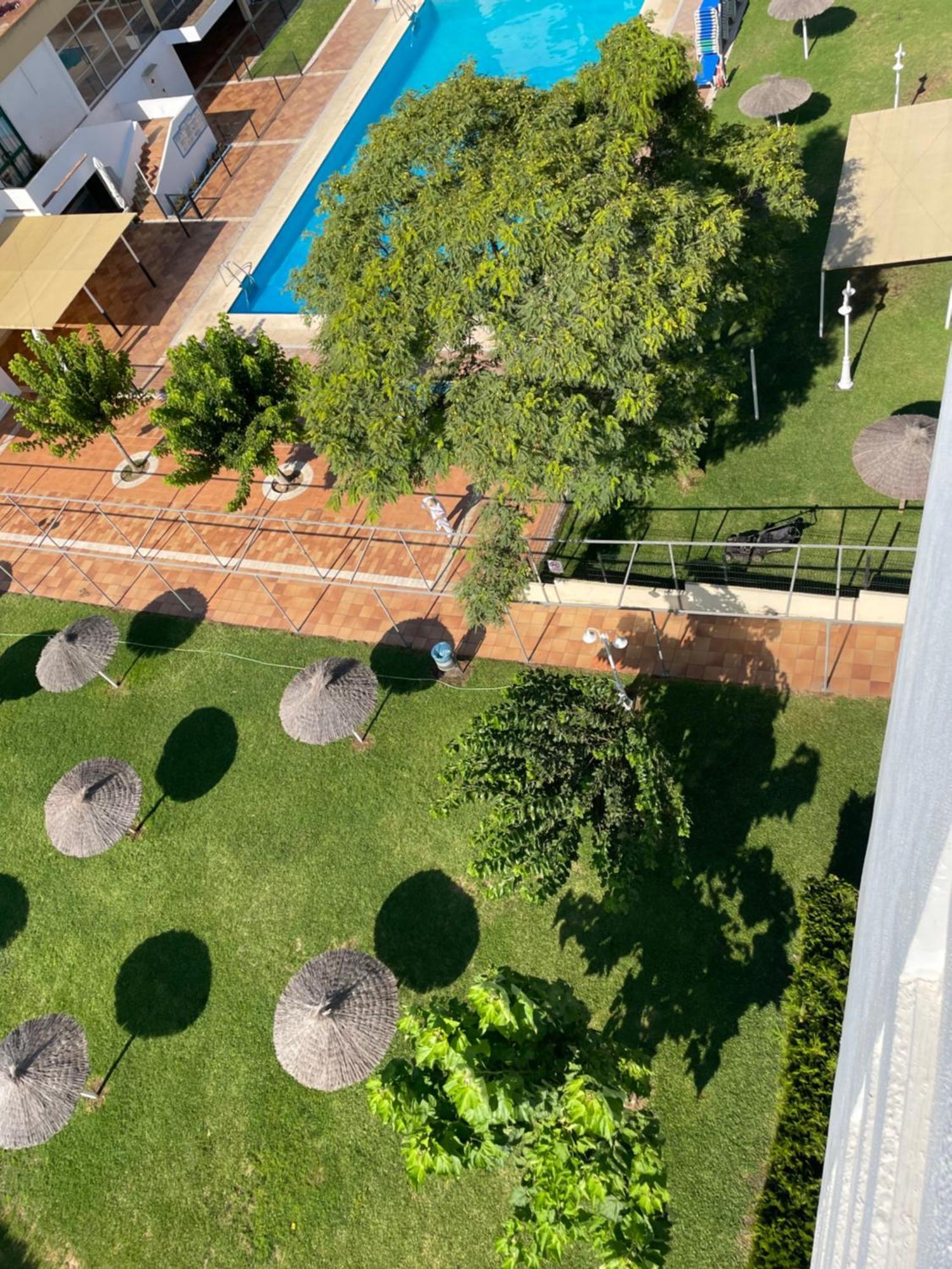 Estudio Apartamento Lalola Matalascañas Εξωτερικό φωτογραφία